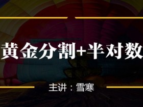 【百股精】百股精雪寒缠论黄金分割+半对数4节课(全)