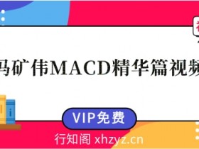 冯矿伟MACD精华篇视频课程【完结】