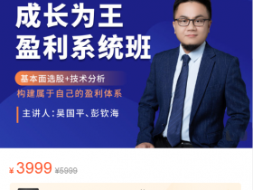 吴国平股票视频-吴国平成长为王盈利系统班课程