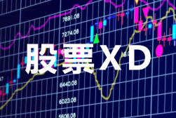 xd股票